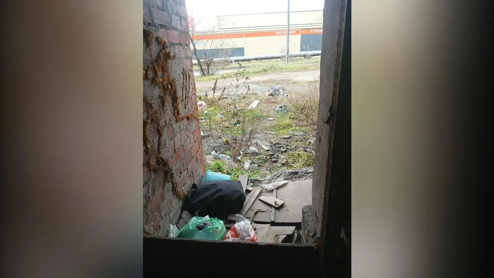 предоставлено собеседницей