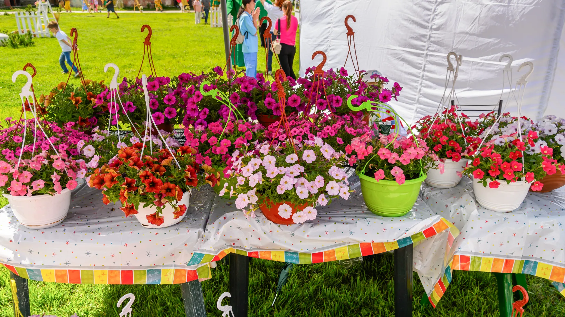 Гастрономический фестиваль «Вар-Варенье» в Ликино-Дулево