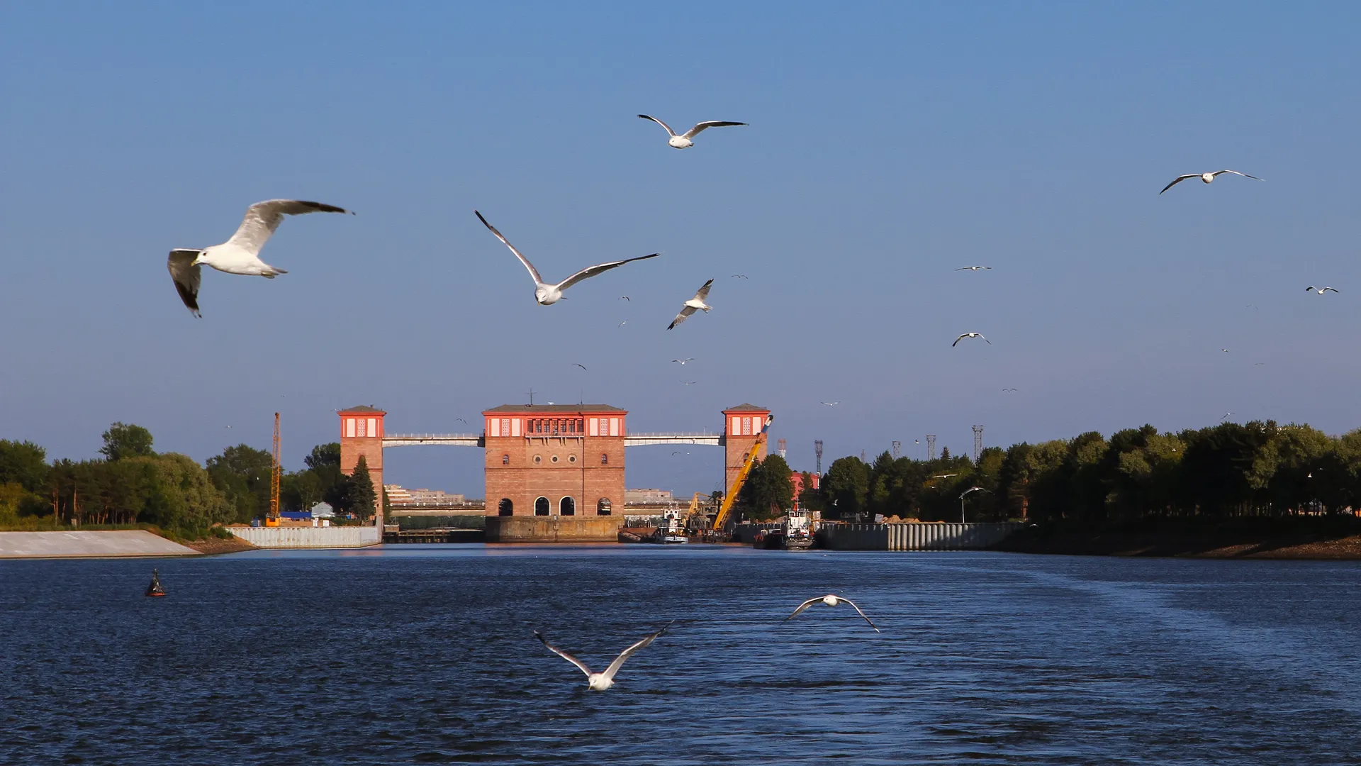 Картинка