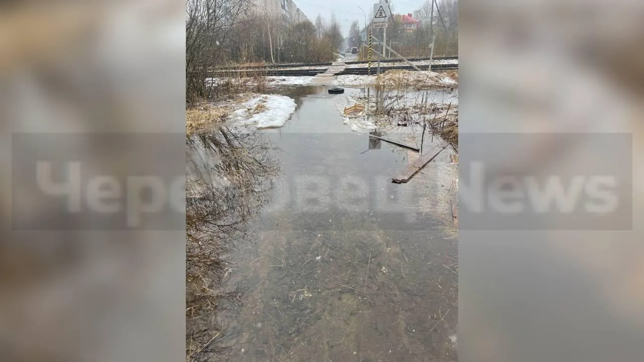 предоставлено собеседницей