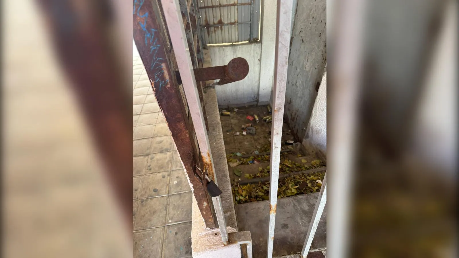 предоставлено собеседницей