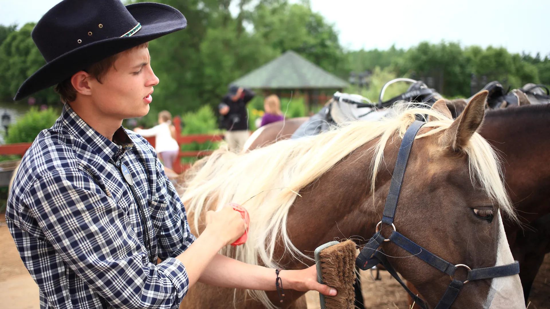 Медиасток.рф