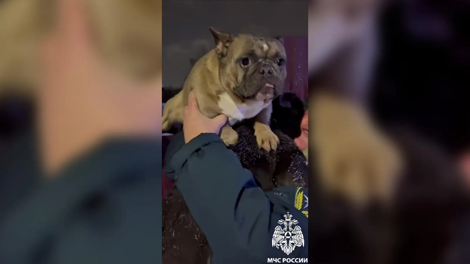 кадр видео пресс-службы ГУ МЧС России по Кемеровской области