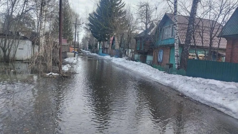 Телеграм-канал Андрея Шарнина