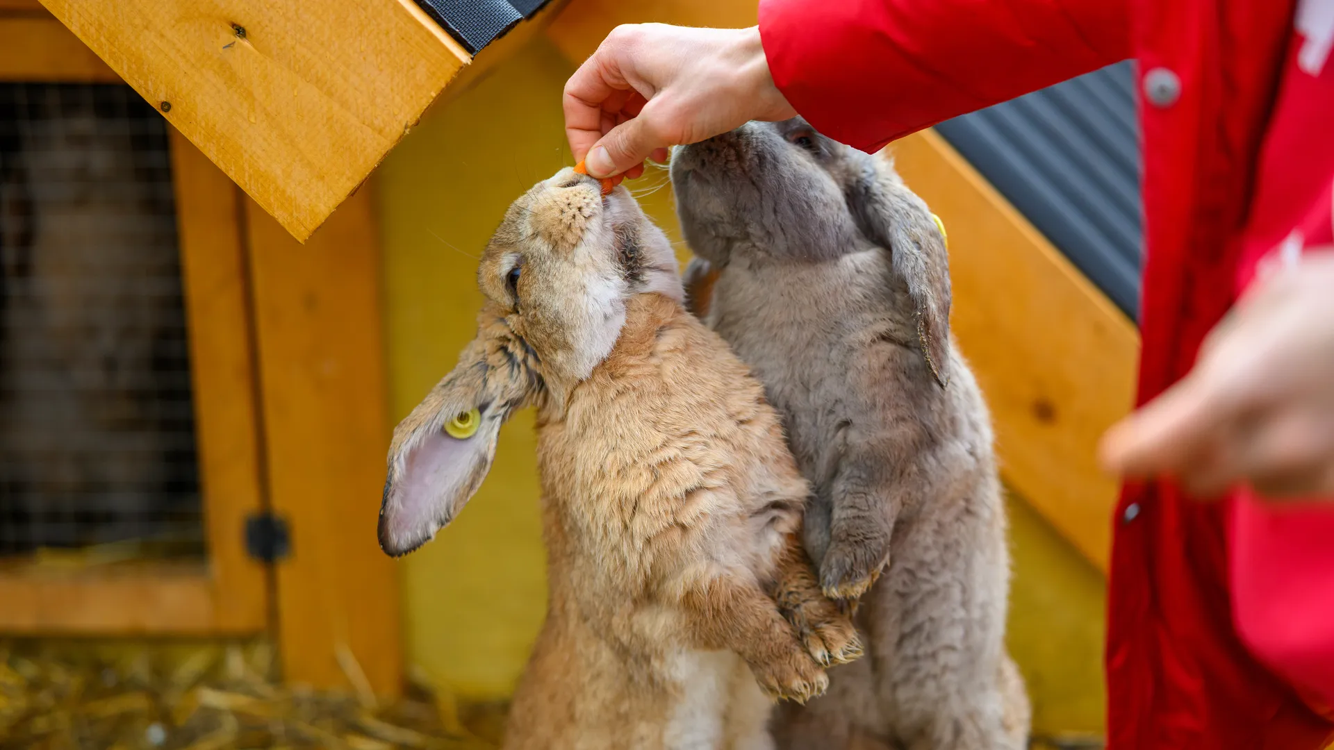 Медиасток.рф