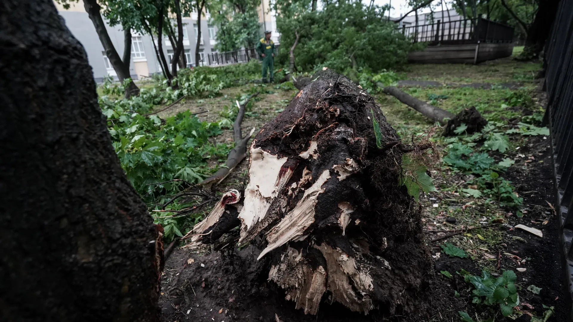 Последствия ливня в Москве