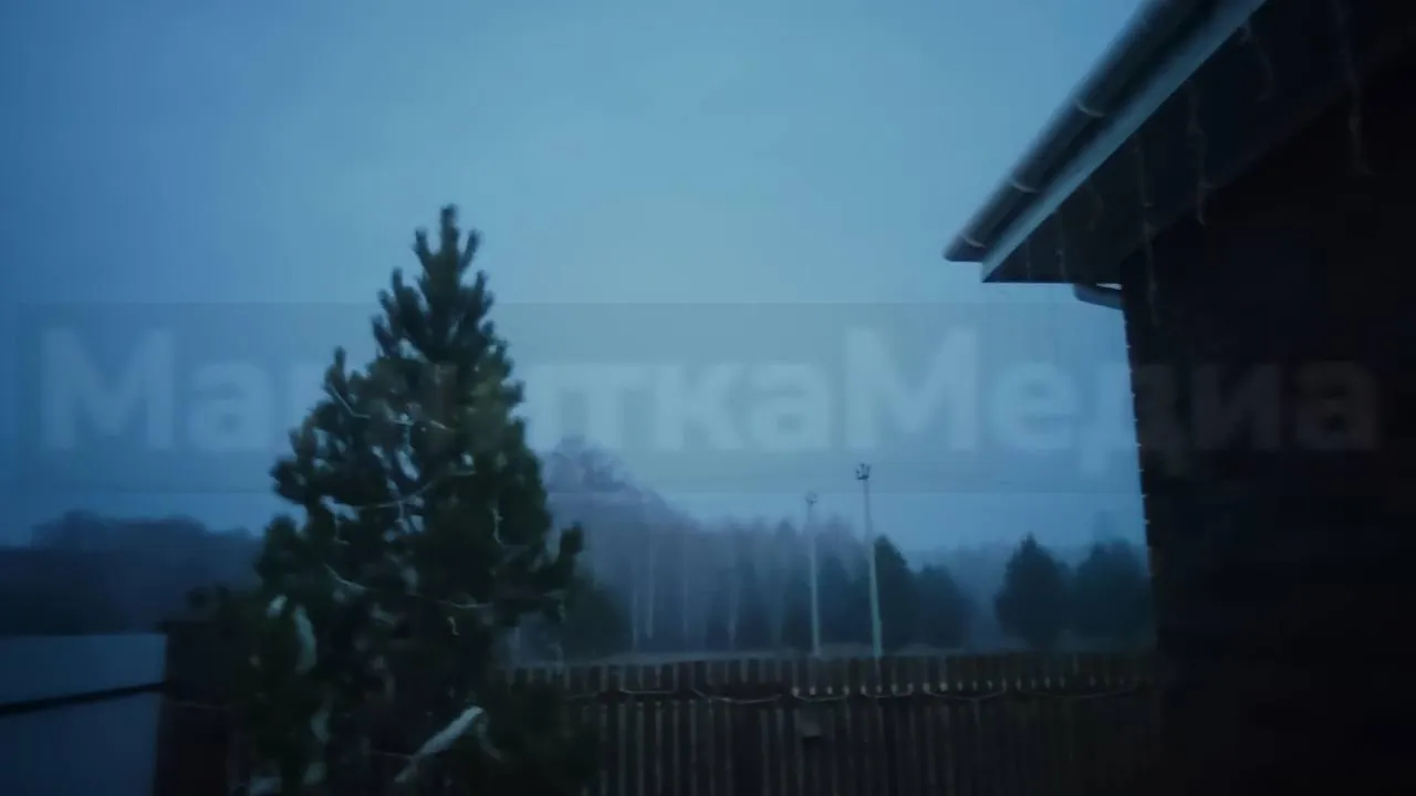 предоставлено собеседницей