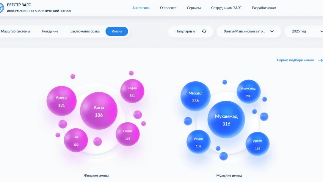 Скриншот информационно-аналитического портала реестра ЗАГС