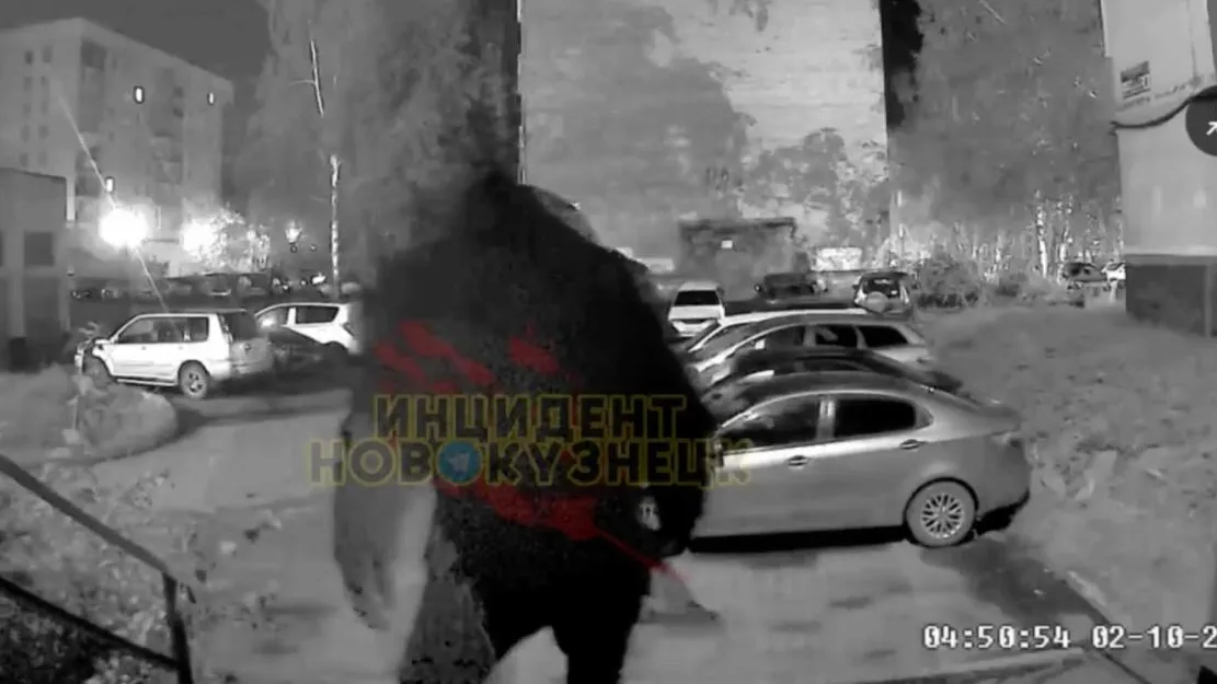 Скриншот видео