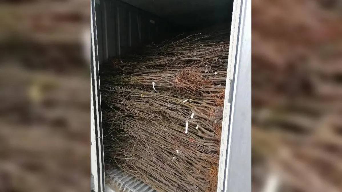 Телеграм-канал Южного межрегионального управления Ростехнадзора