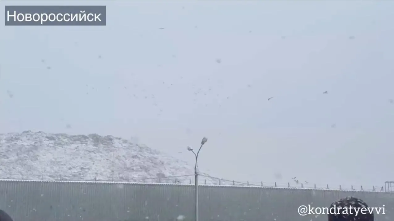 Telegram-канал Вениамина Кондратьева / Скриншот видео