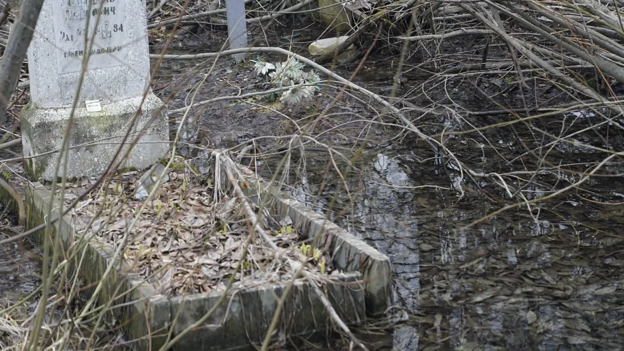 Самосыровское кладбище. «Челны Live» \ Екатерина Волкова