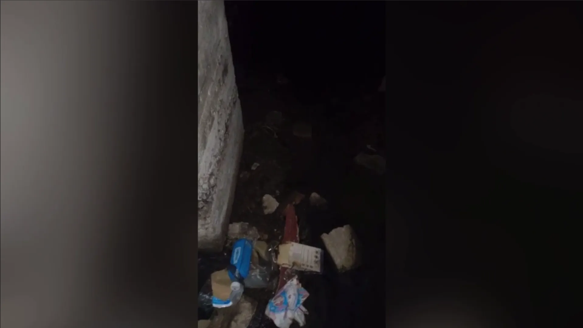 кадр видео, предоставленного собеседником