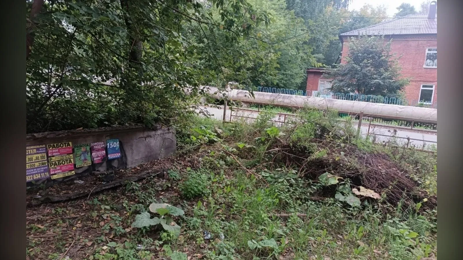 предоставлено собеседницей