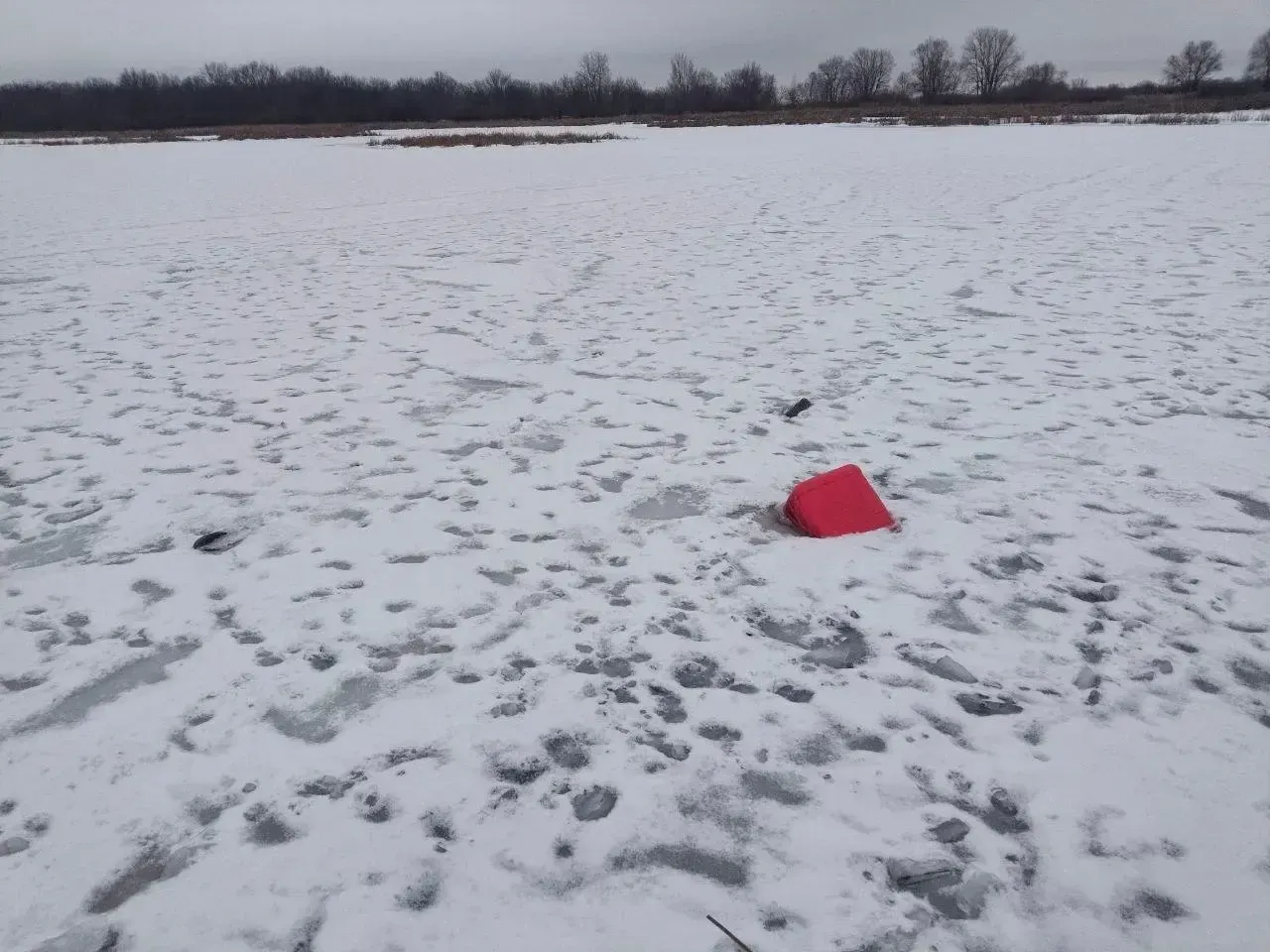 предоставлено собеседницей