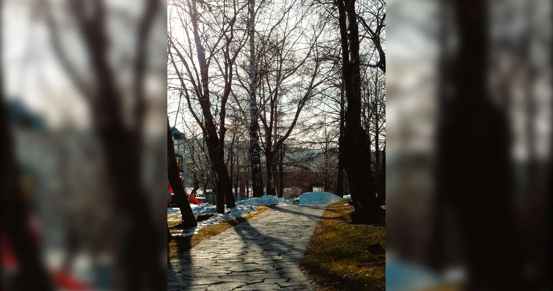 Снимки сделанные Александром (@streetphotography0)/предоставлено собеседником