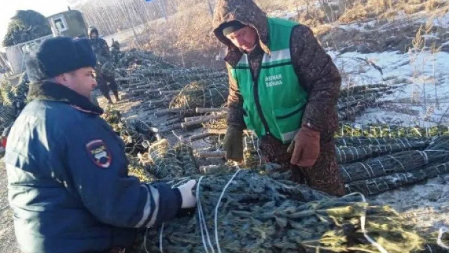 Пресс-служба Министерства лесного хозяйства и лесопереработки региона