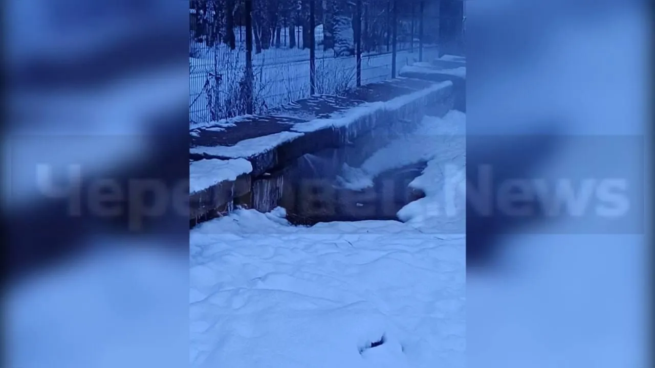 предоставлено собеседником