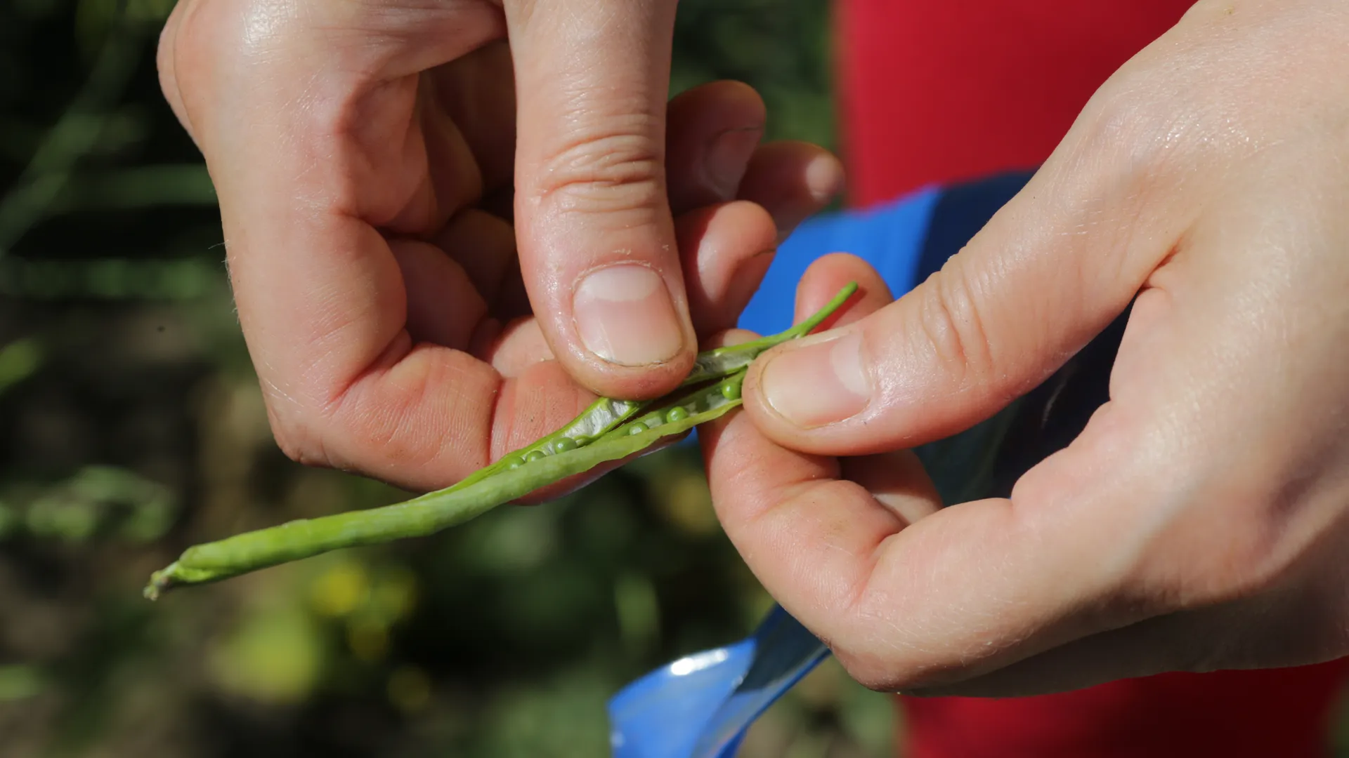 Кропотовская биологическая станция им. Б. Л. Астаурова в Каширском районе