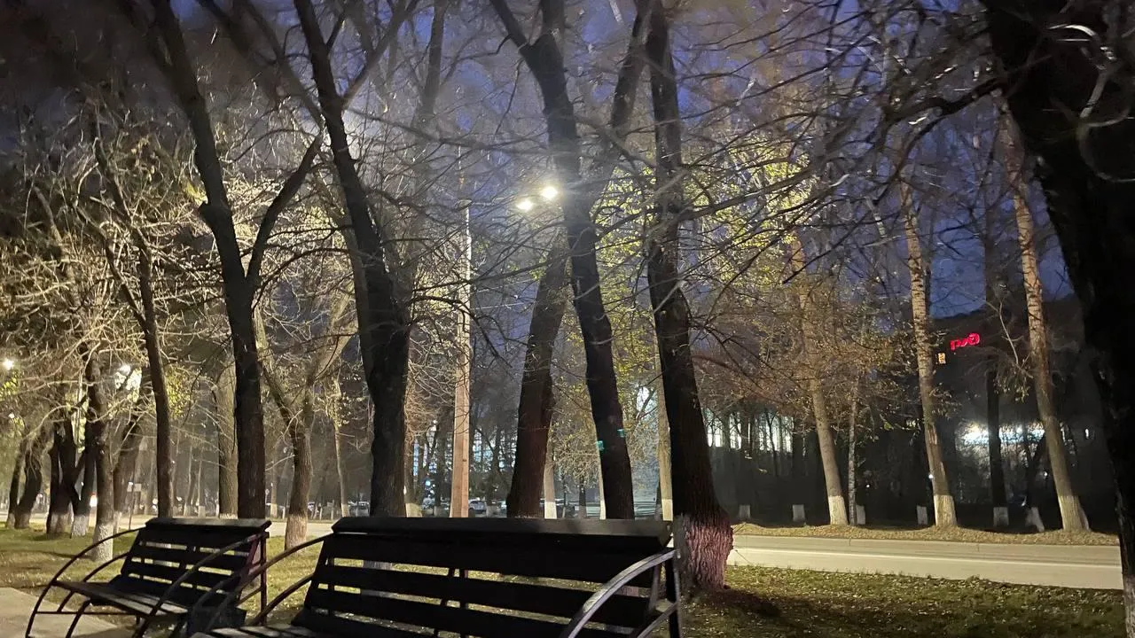 «СтальМедиа»