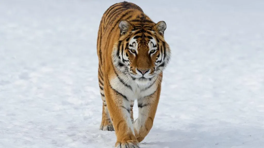 Сгенерировано ИИ