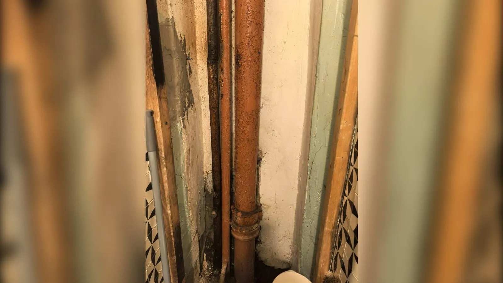 предоставлено собеседницей